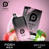 posh-max-2.0-berry-peach-apple-600x600