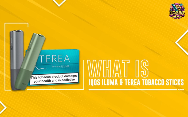 What-is-IQOS-Iluma-&-Terea-tobacco-sticks