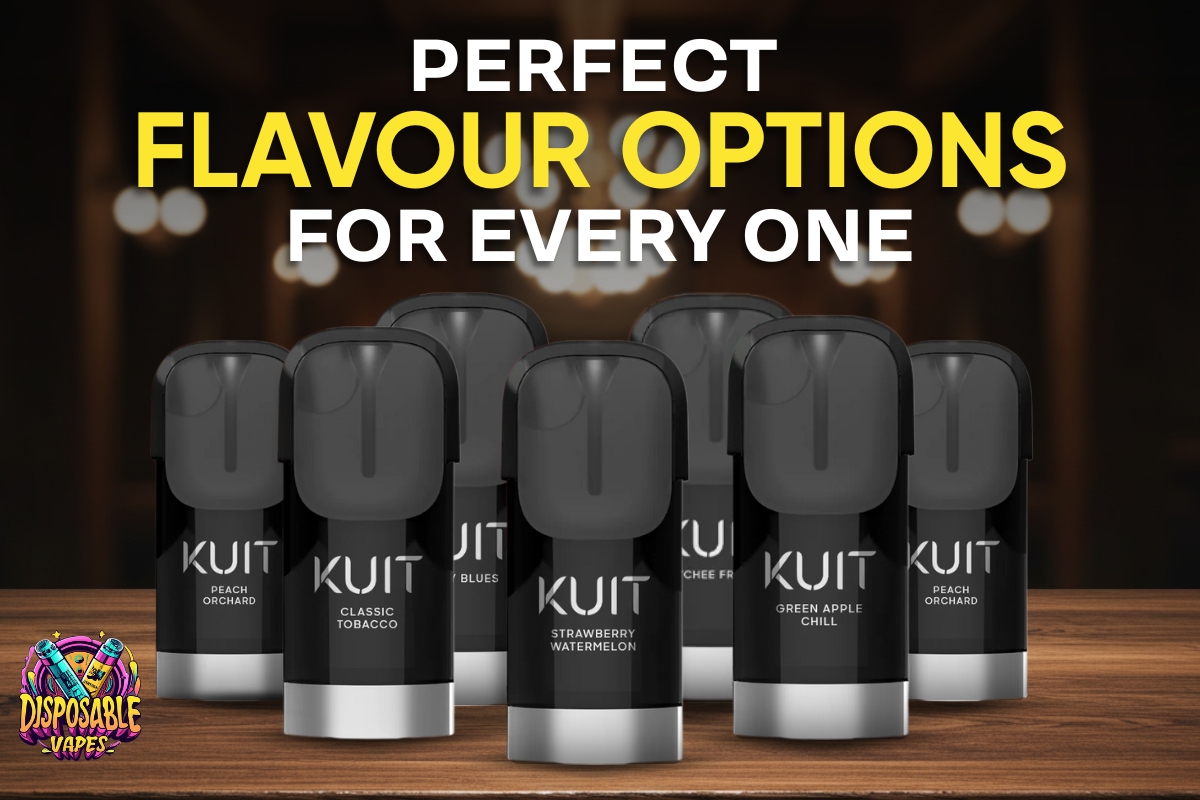 Why-KUIT-Pods-Are-the-Perfect-Choice-for-Smokers–2025-Guide