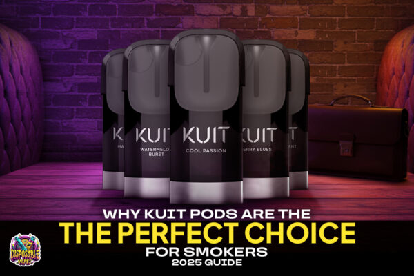 Why-KUIT-Pods-Are-the-Perfect-Choice-for-Smokers–2025-Guide