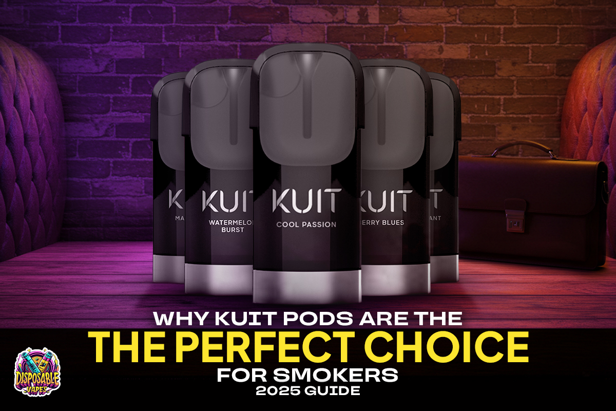 Why-KUIT-Pods-Are-the-Perfect-Choice-for-Smokers–2025-Guide